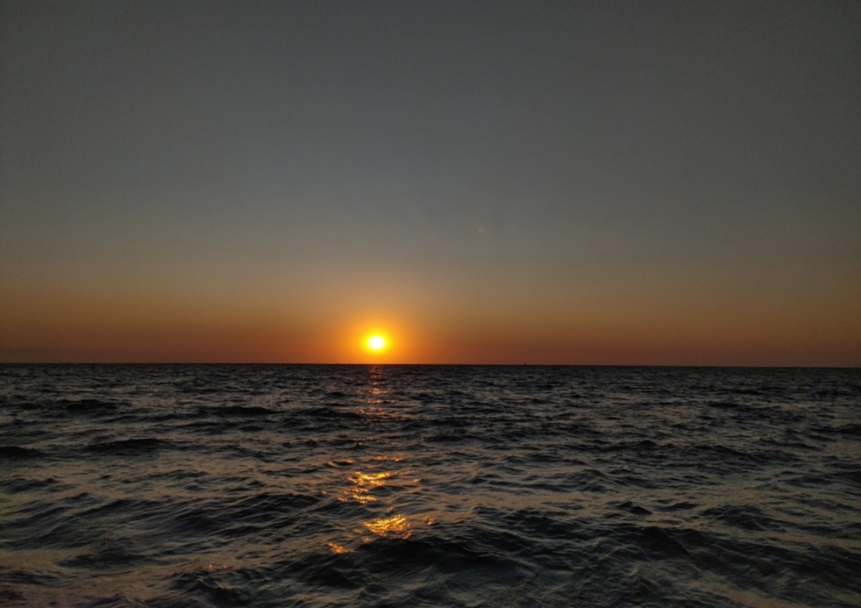 YokoMoonie's header image
