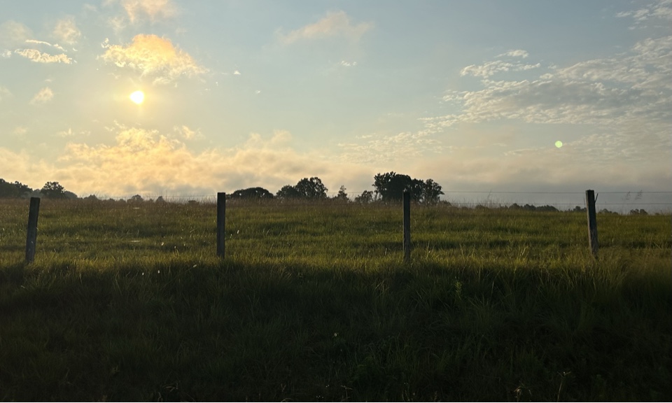 amac97's header image