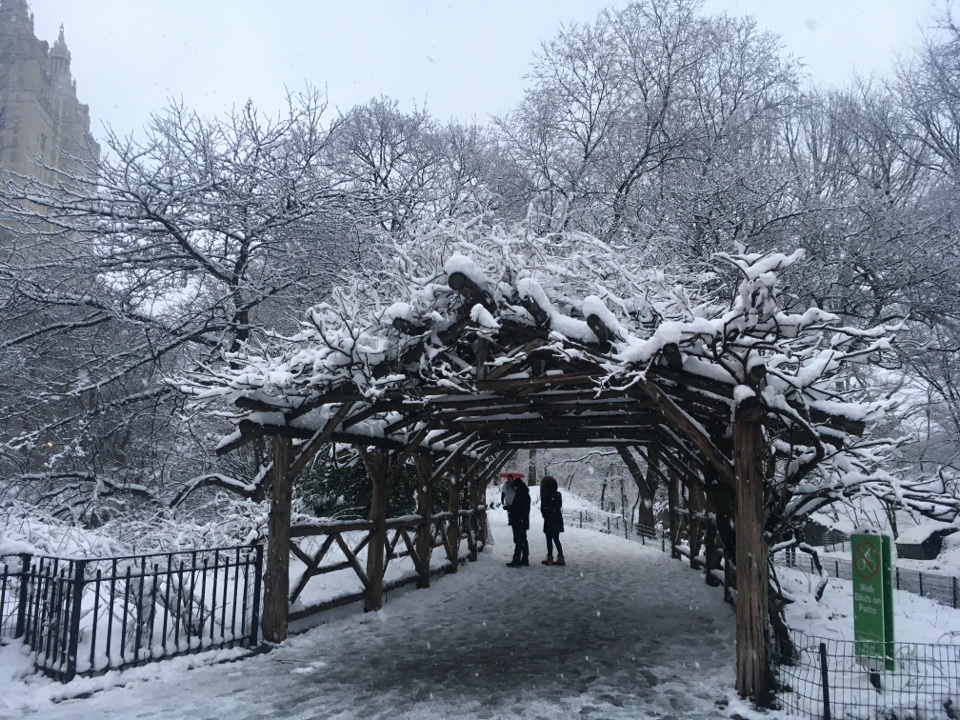 andersonscv's header image