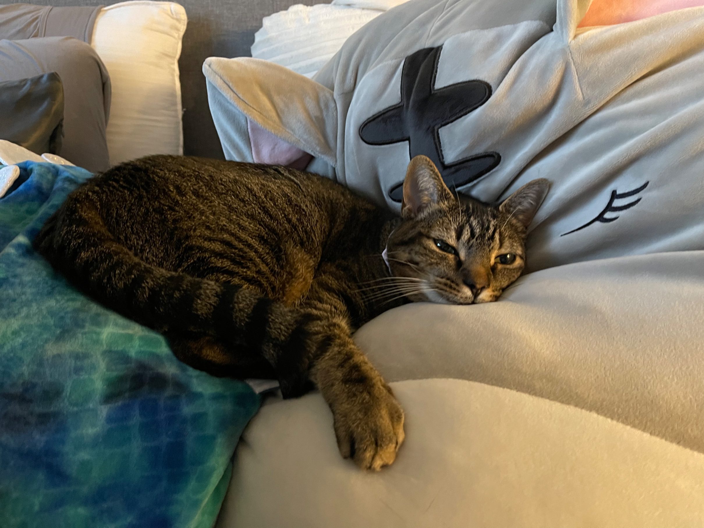 andrewhornstra's header image