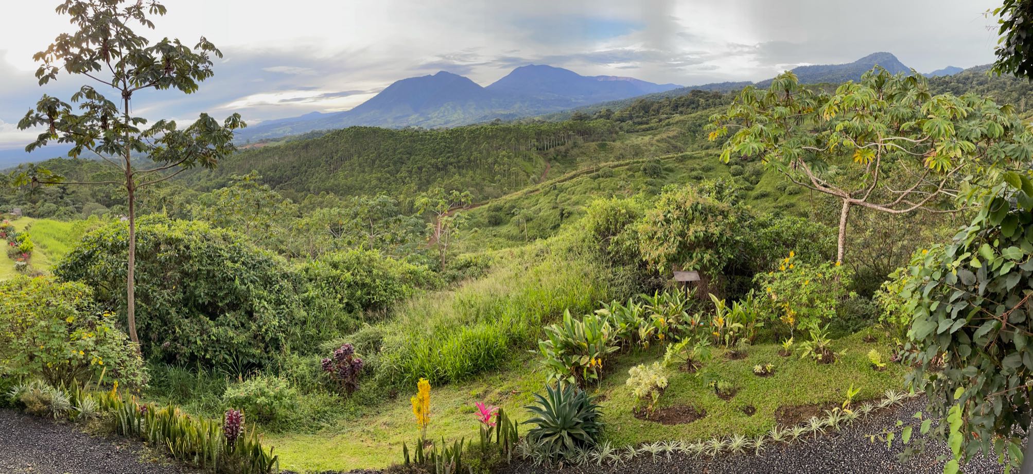 annasullivan's header image