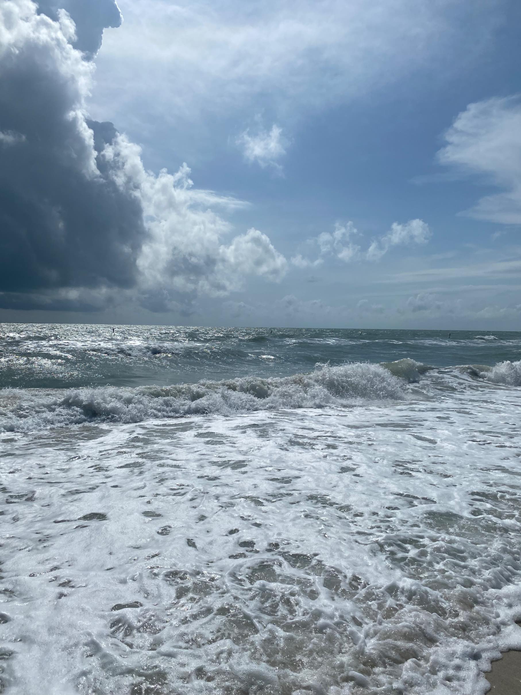 arianabernard's header image