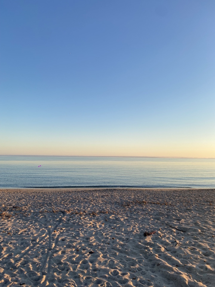 ariannaspiga's header image