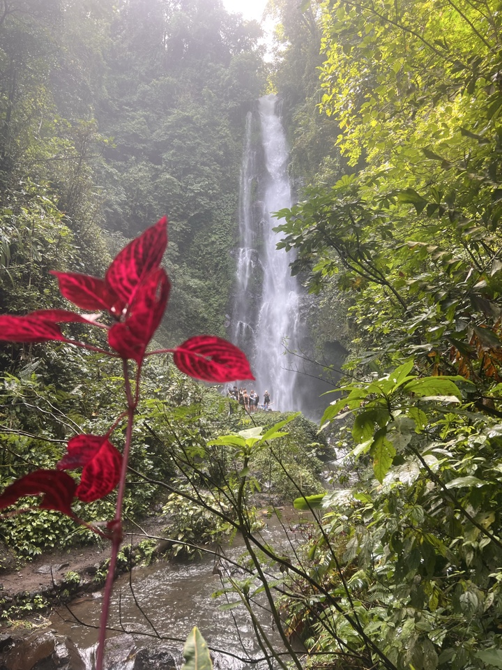 astarasmussen04's header image