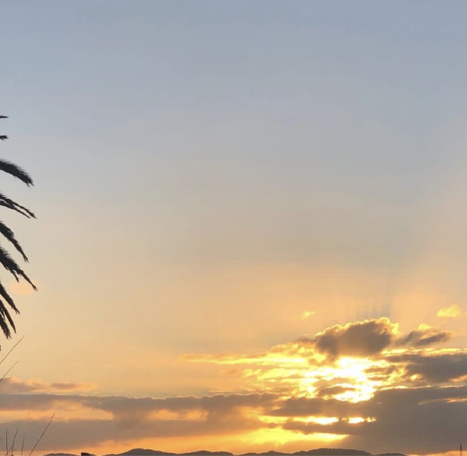 astraltravel's header image