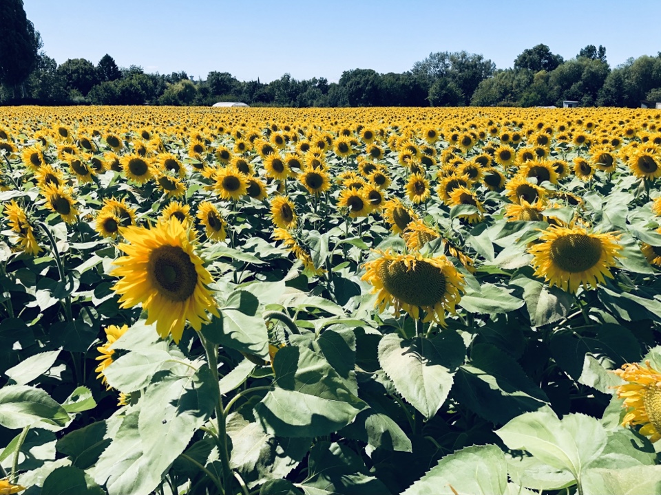 atikamayendra's header image