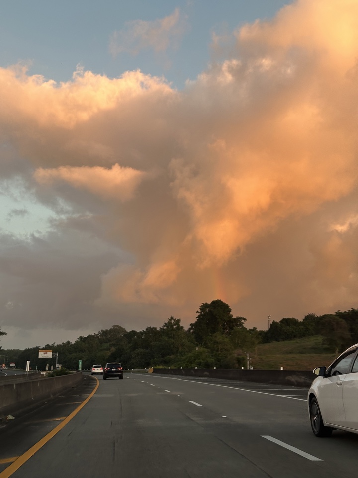 belavanna38's header image