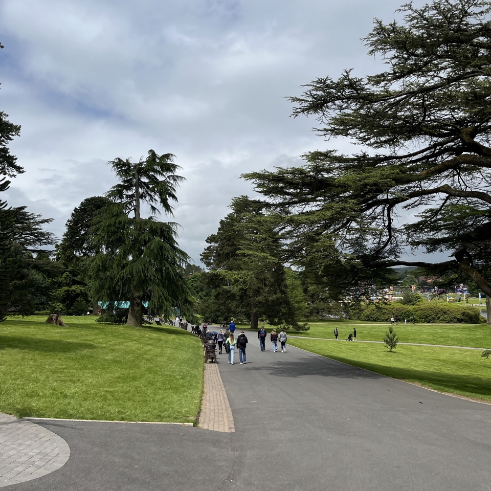 cmd43509's header image