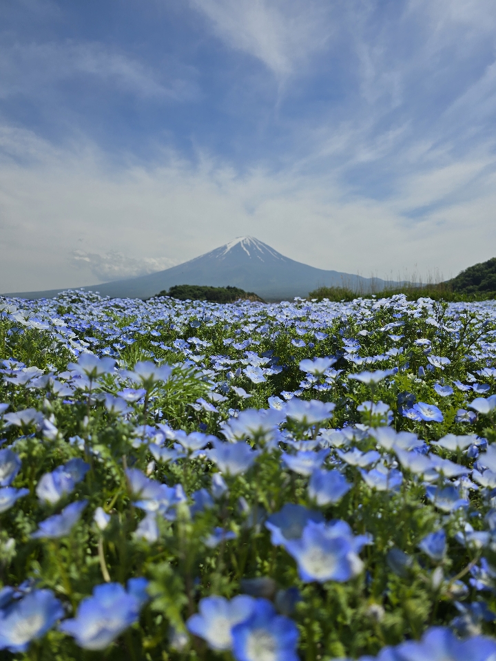 cassylosego's header image