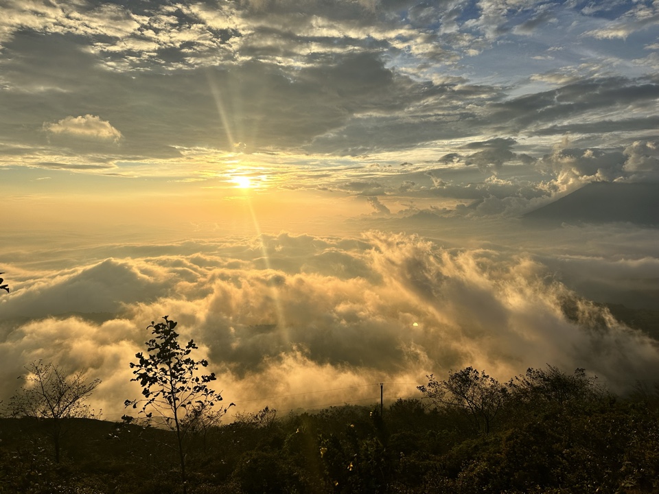 cevans519's header image