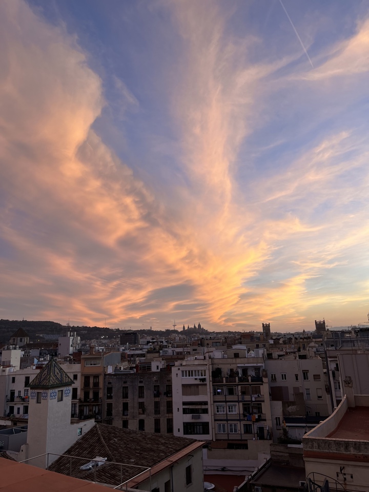 clarissafarris_'s header image