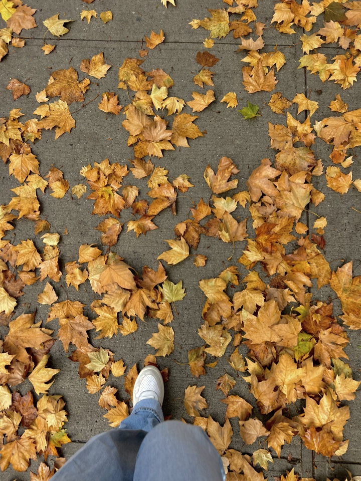 cojoseph's header image