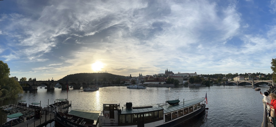 daisy🌼's header image