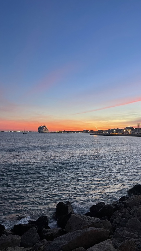 Daniela's header image