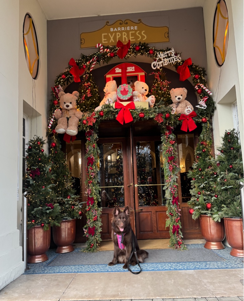 darlagsd's header image