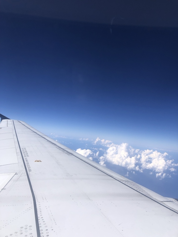 diana_muela's header image