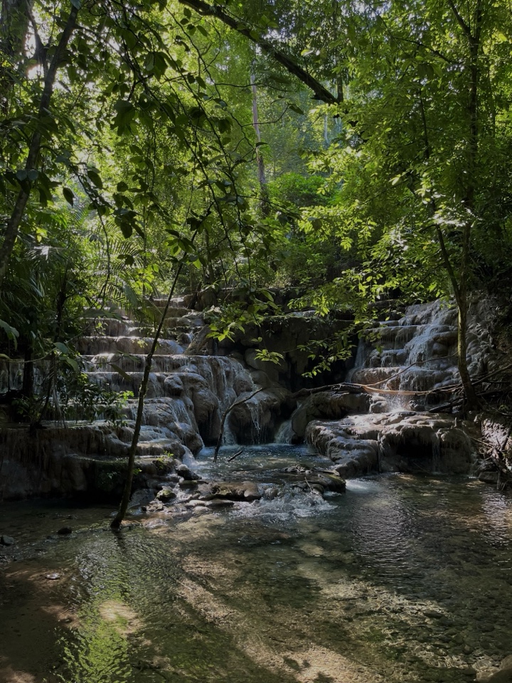 emmaepazote's header image