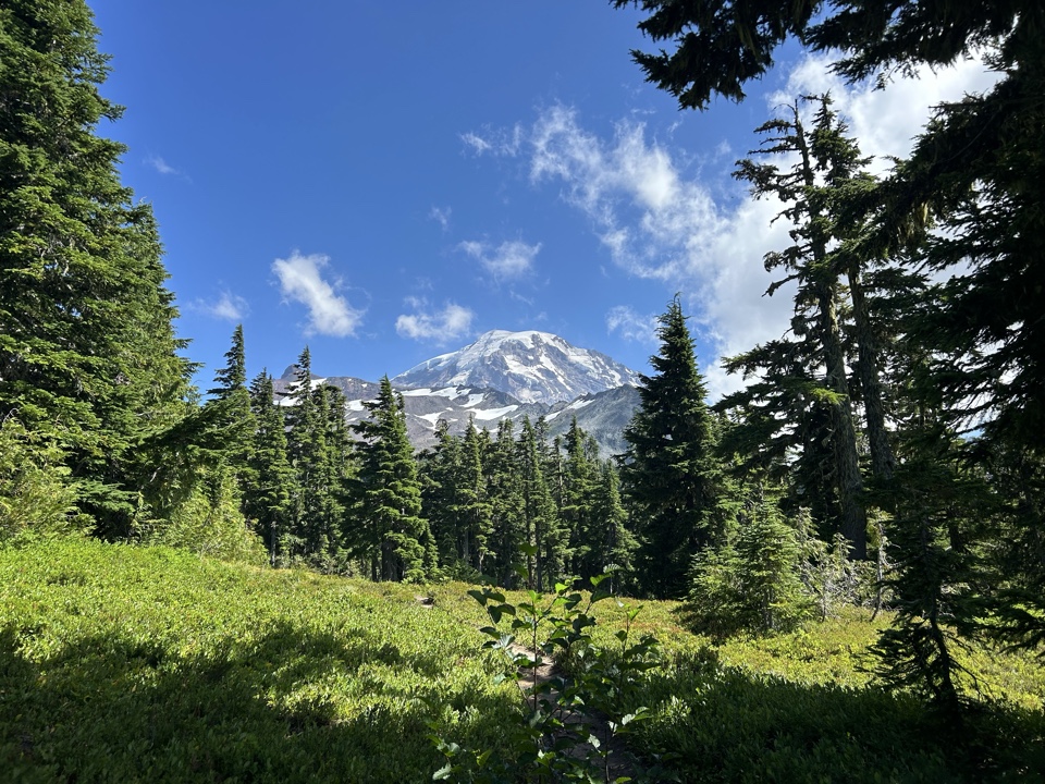 erictorm's header image