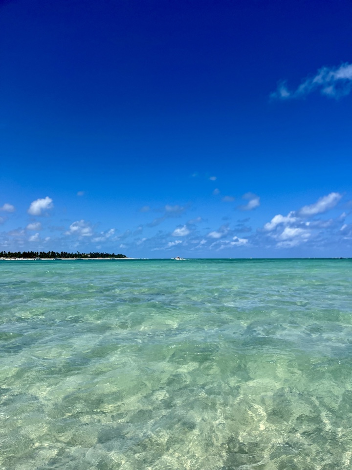 eugabitorres's header image