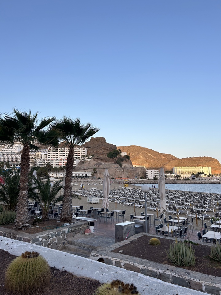 evactaylor's header image