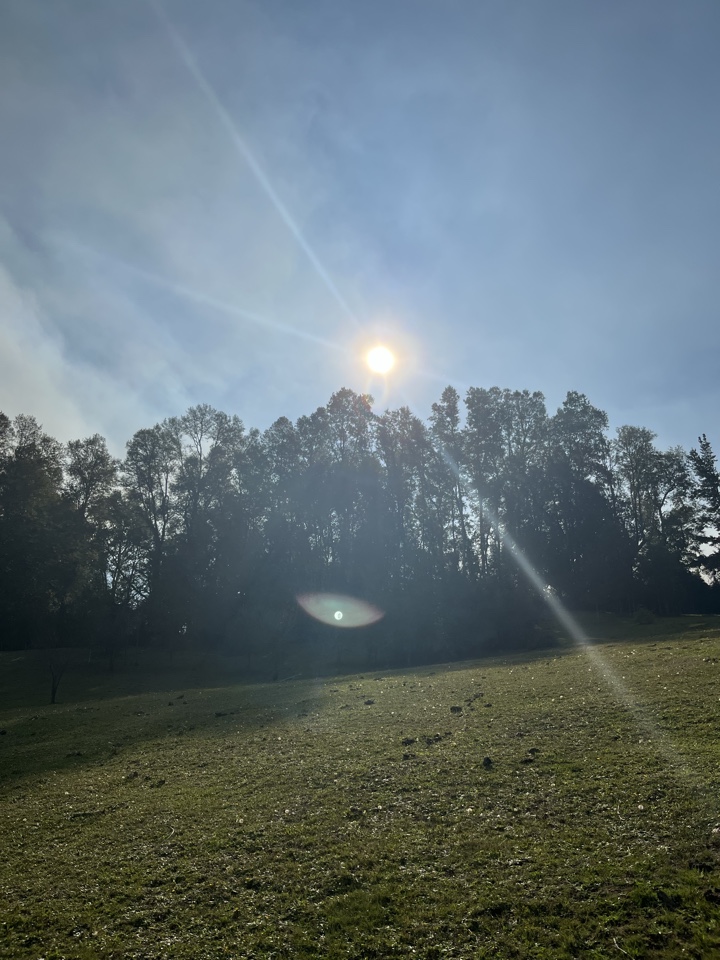 evernoise's header image