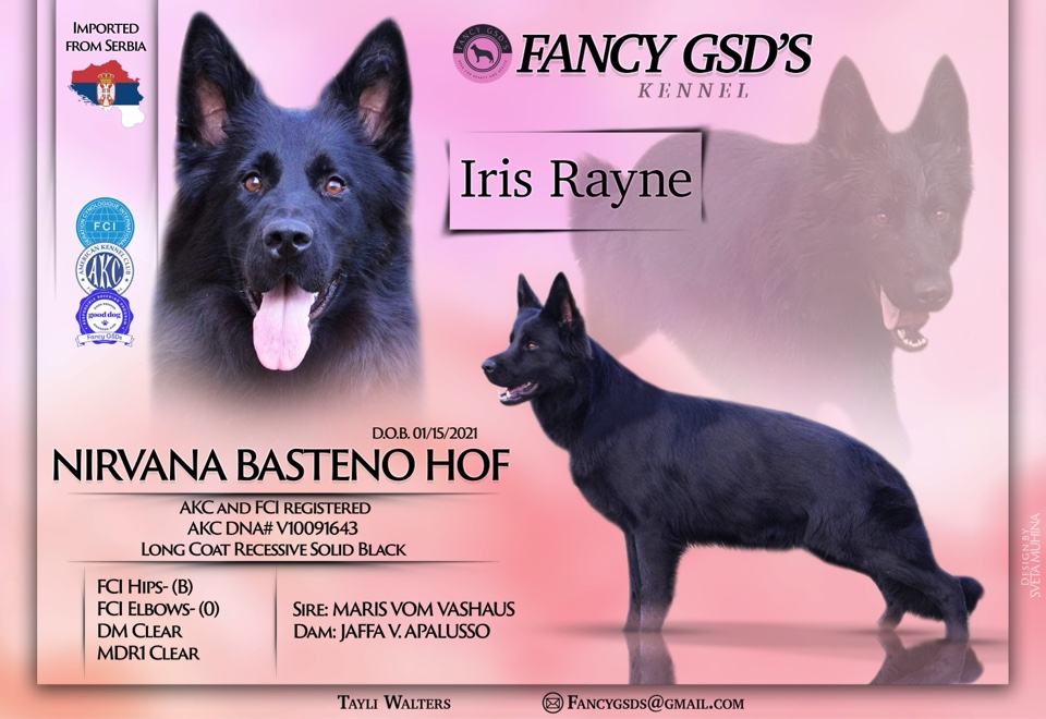 fancygsds's header image