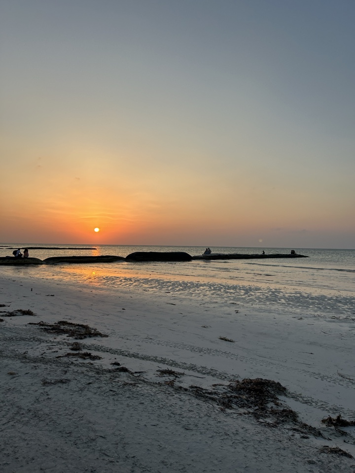 ikerbengoa's header image