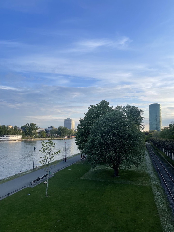 ilaydasaracoglu's header image