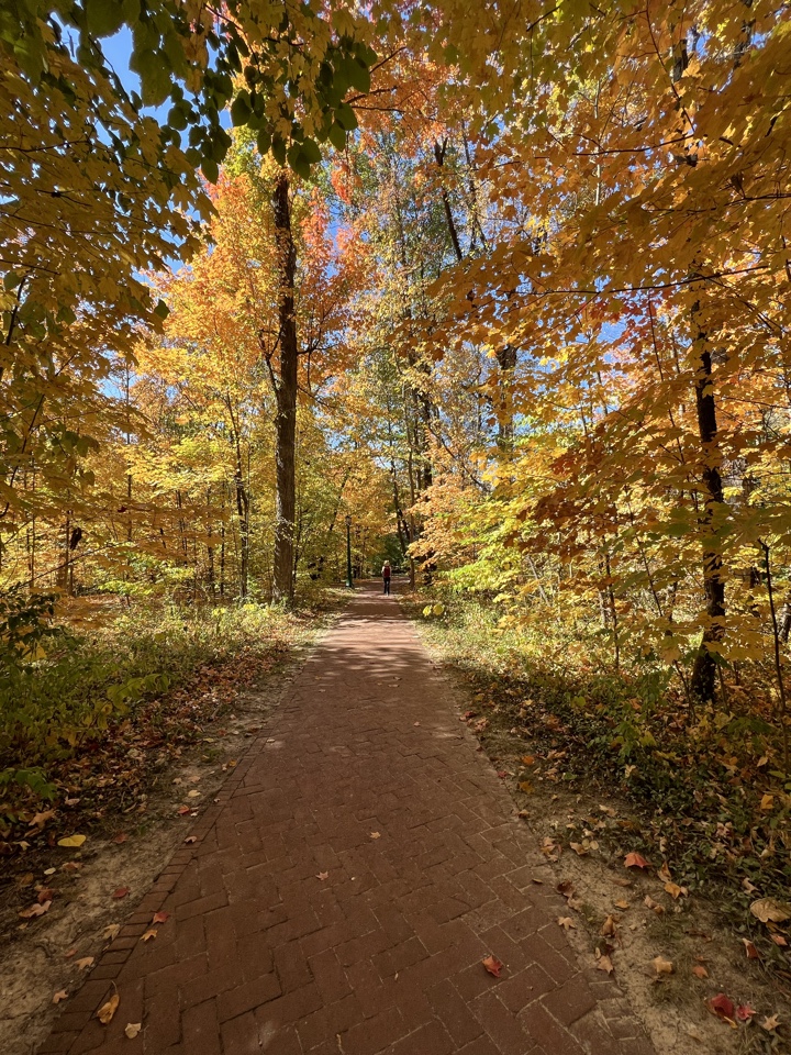 joanaperna's header image