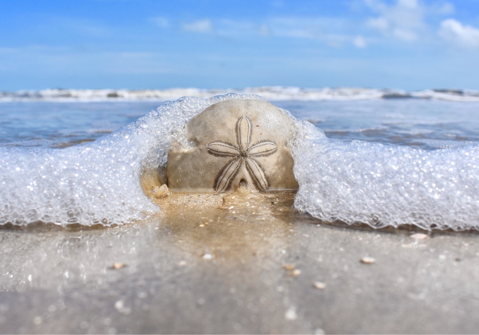 kaitg's header image