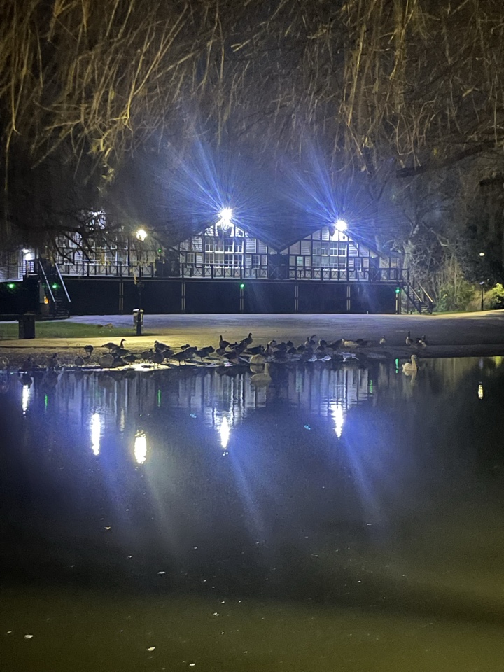 katherinemoshea's header image