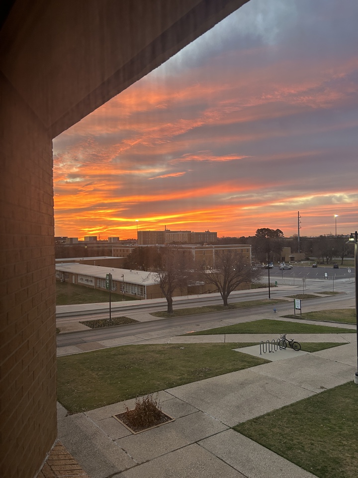 kimber's header image