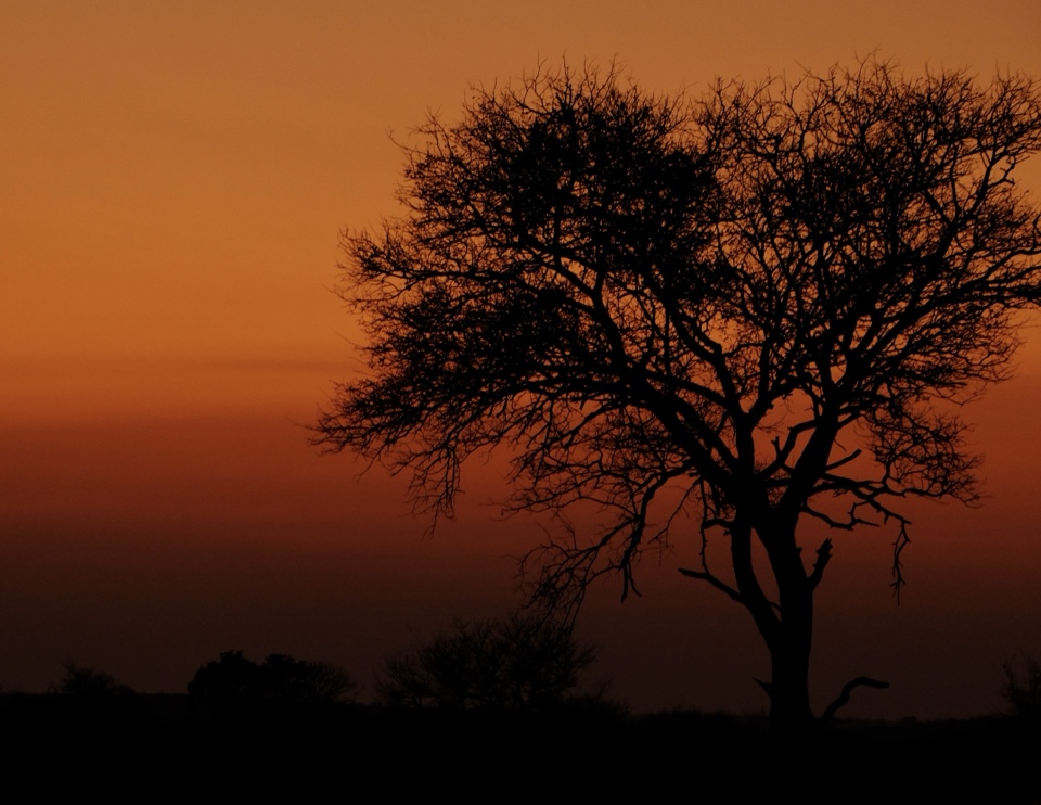 kimbo9299's header image