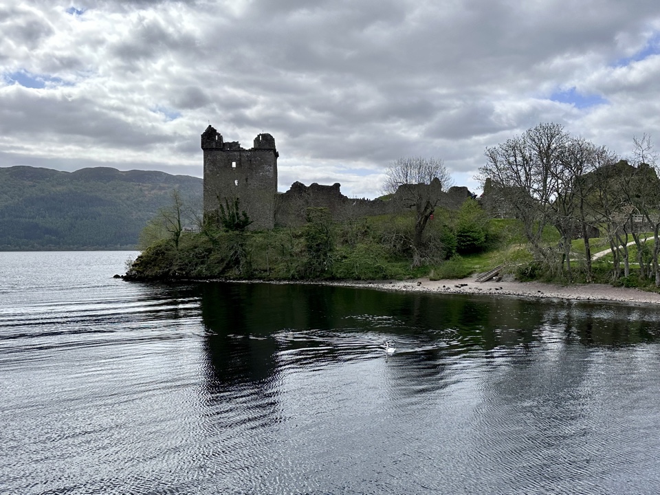 kylie's header image