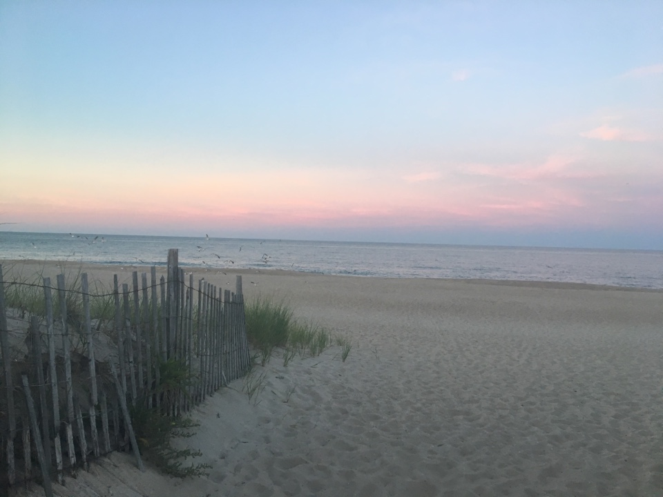 laneyz's header image