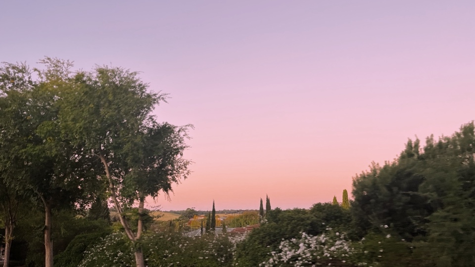 laurenashlee's header image
