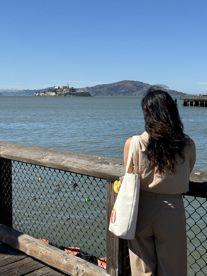 lilly's header image