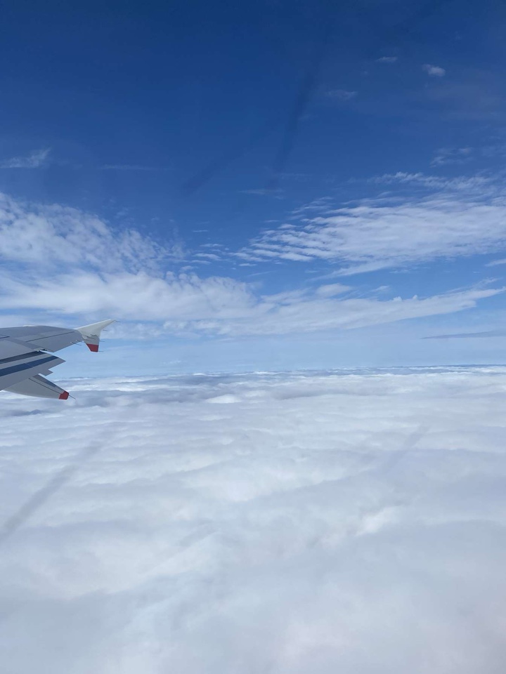 luce481's header image