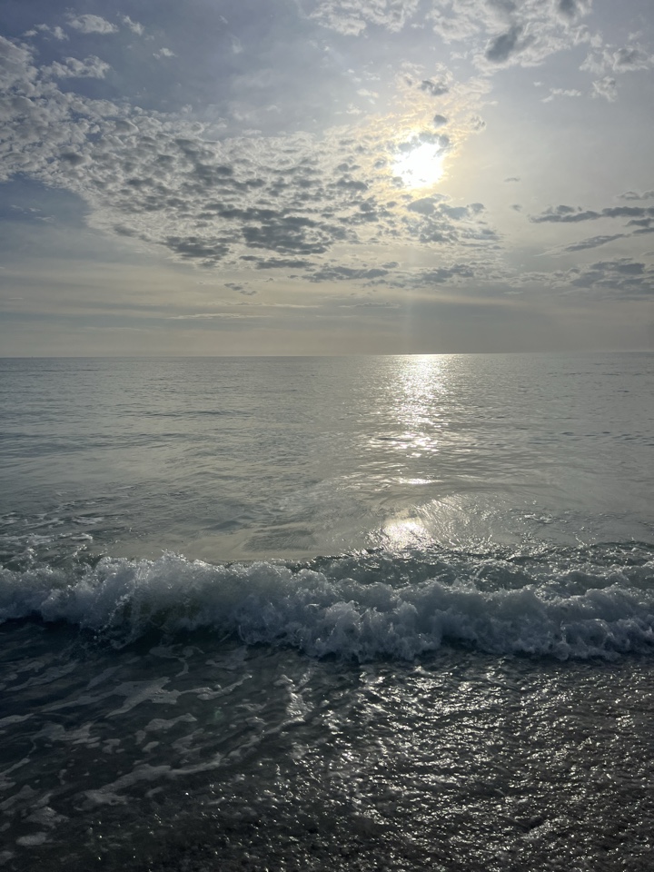 lucy_p's header image