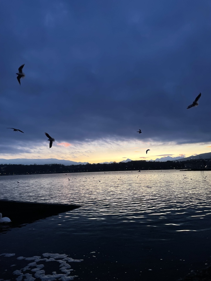 luonaax's header image