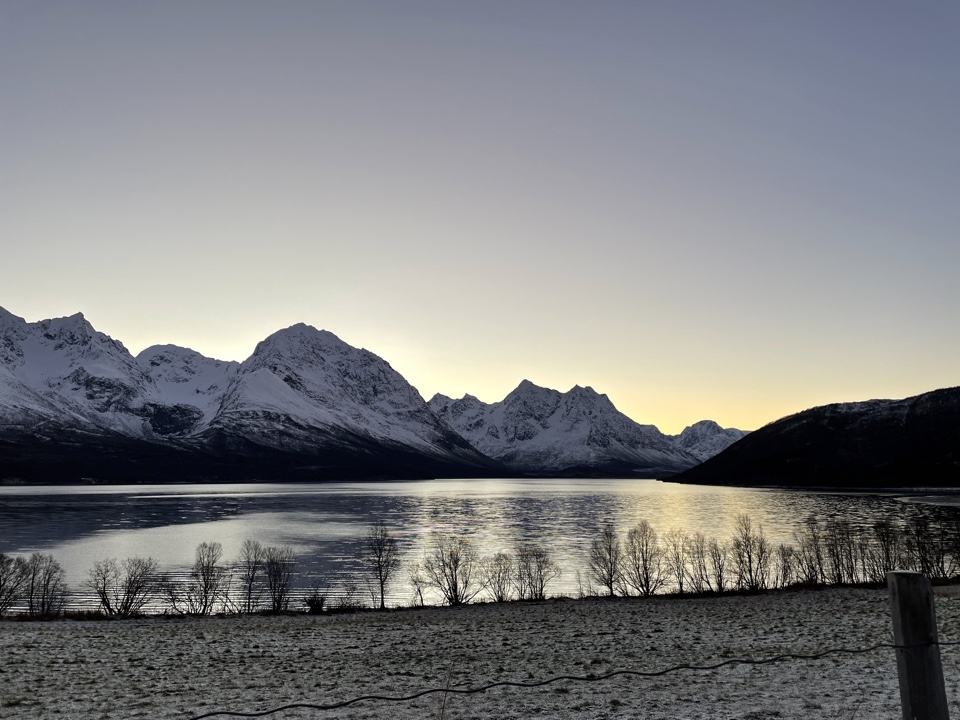 maddberries's header image