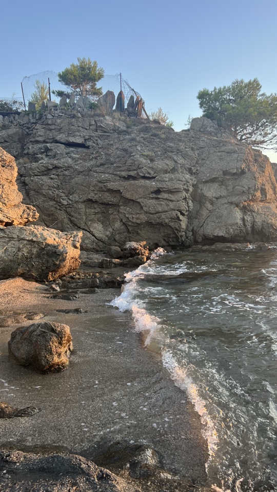 maelle's header image