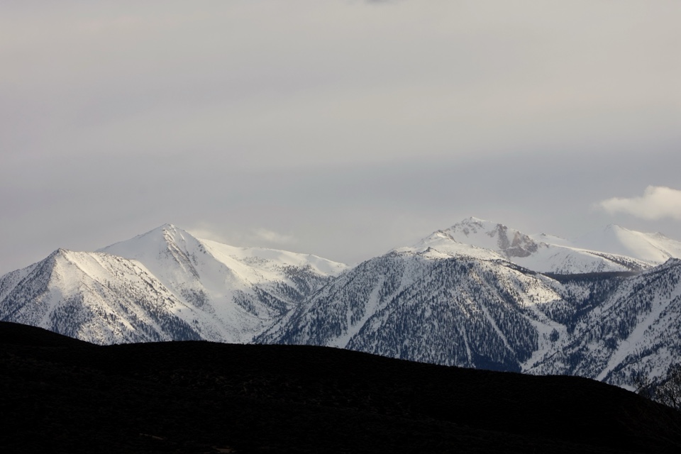 marschallangel's header image