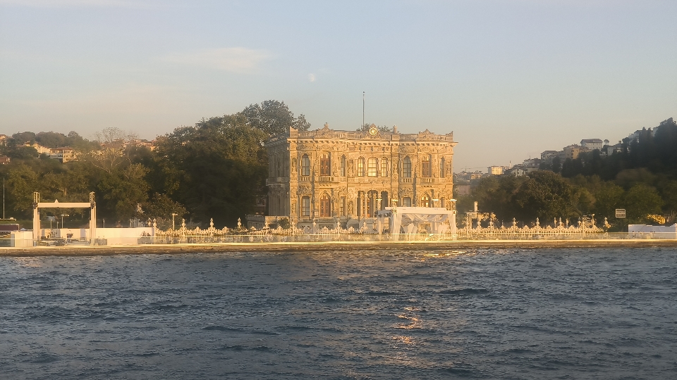 nadia's header image