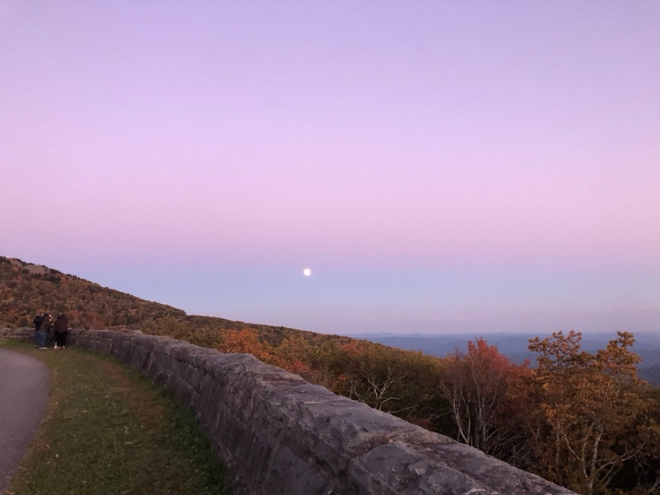 niffler's header image