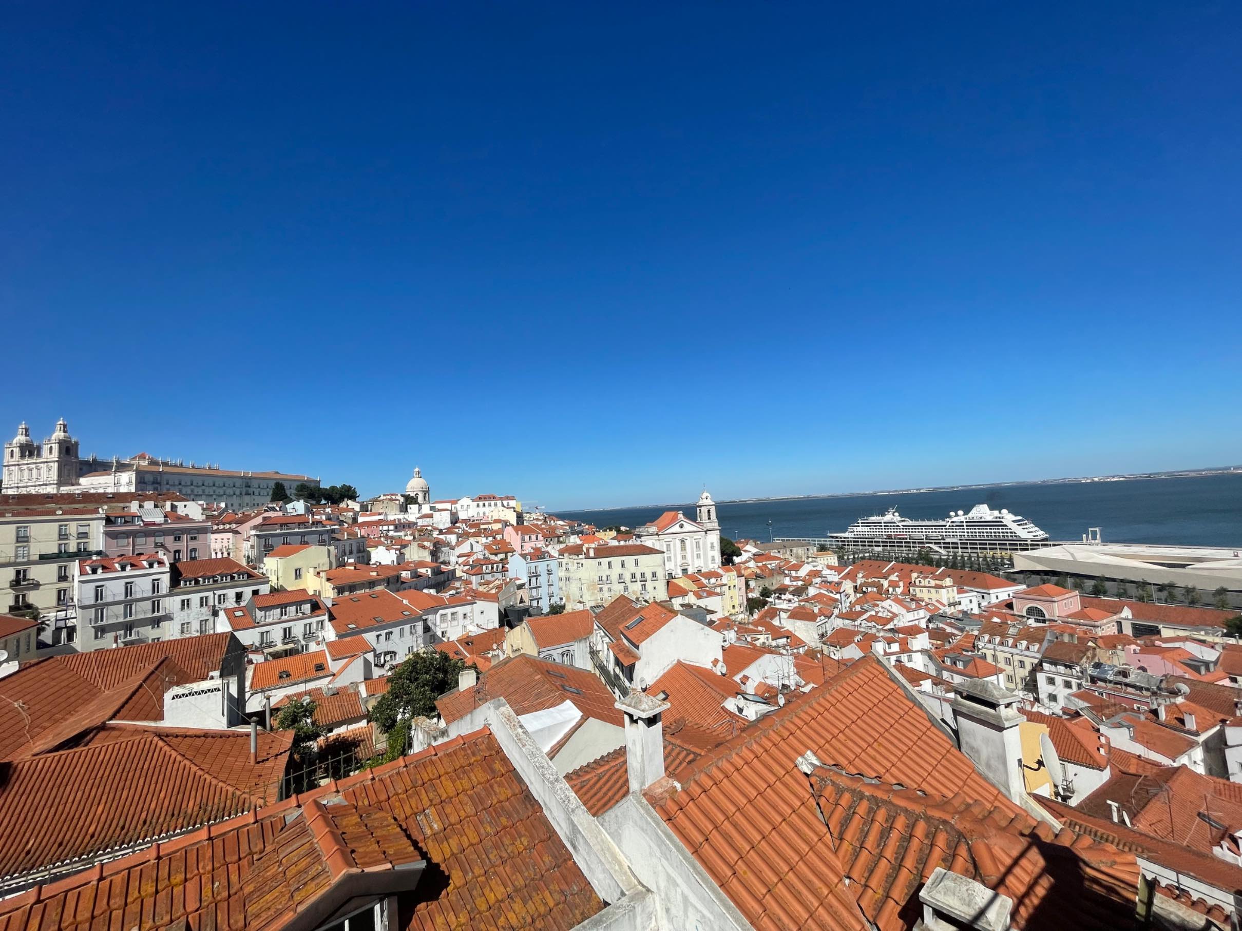 nikkipozzuto's header image