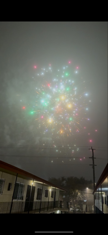 oliviabright's header image