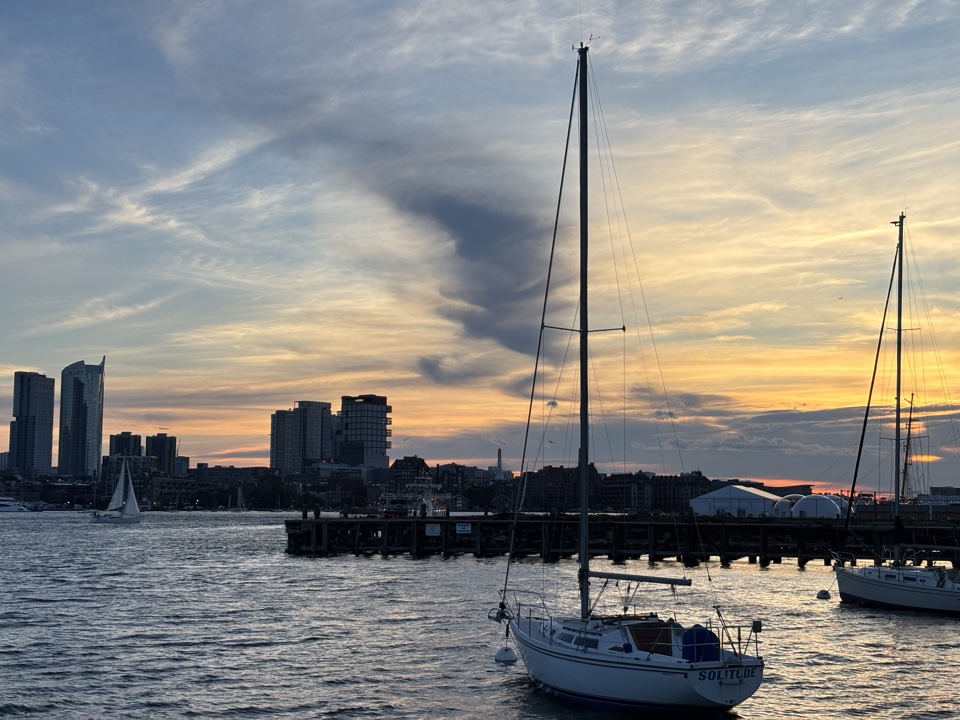 pineapple's header image