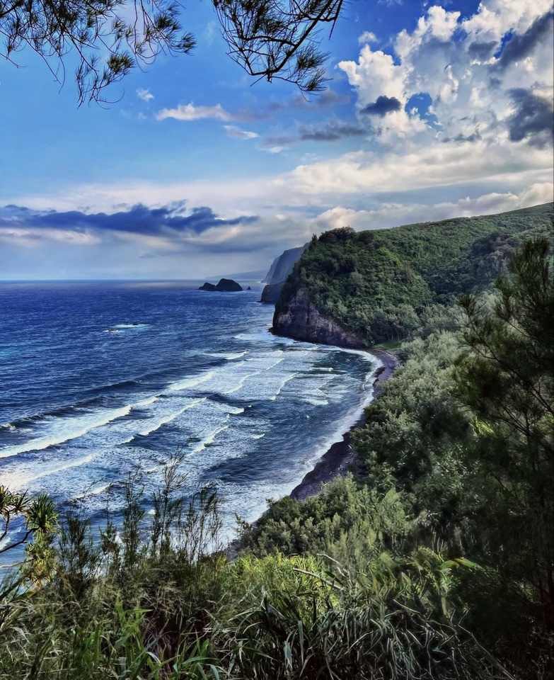 silvermoon808's header image