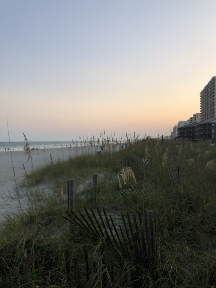 rachelgentile's header image